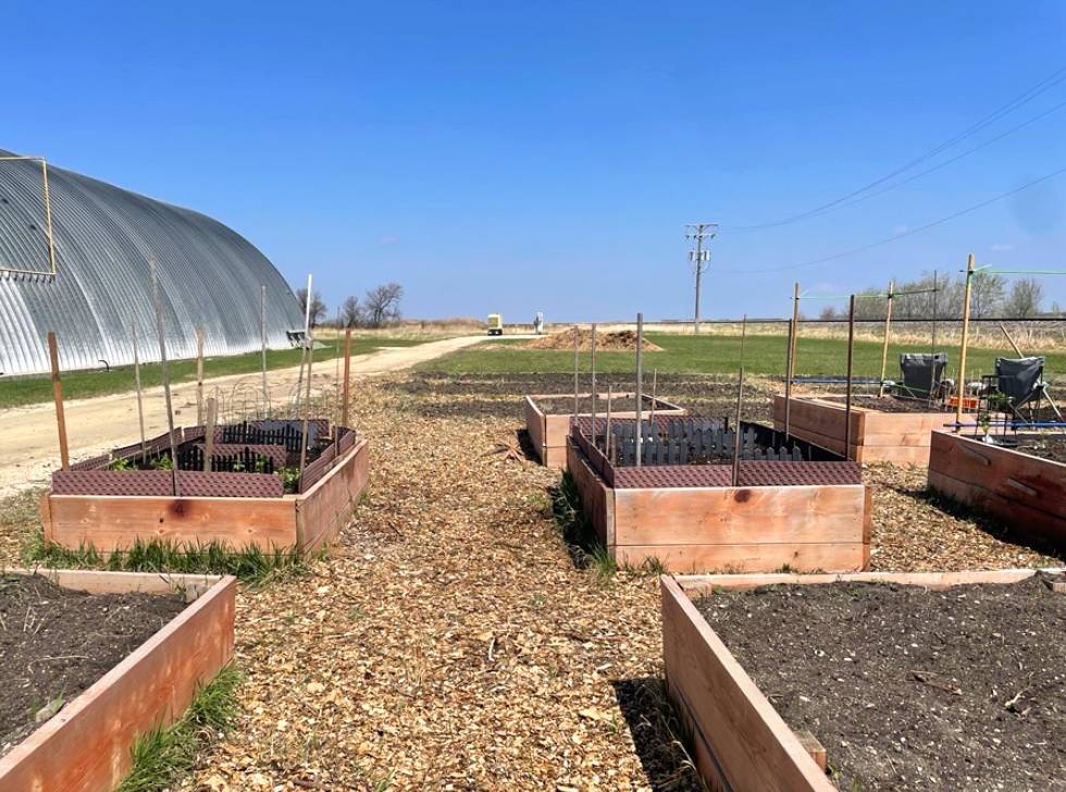 Community garden demand grows in Niverville - SteinbachOnline.com